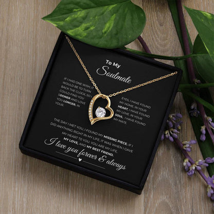 To my soulmate | Forever Love Necklace