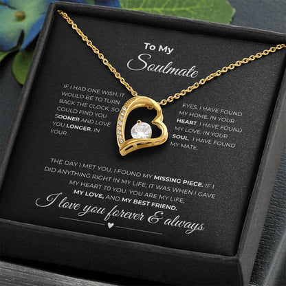 To my soulmate | Forever Love Necklace